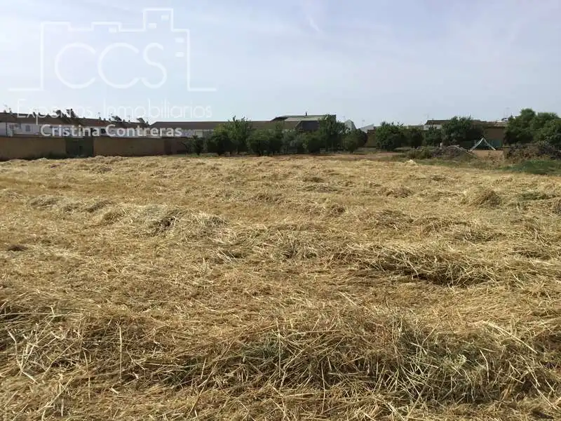 Terreni e lotti in vendita a Olivares, imagen 26