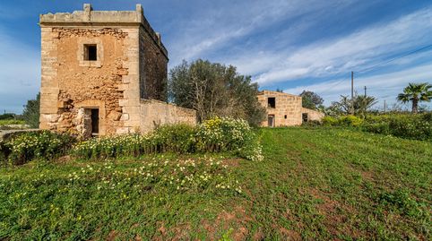 Terreno Rústico con Edificaciones a Restaurar en Campos, Mallorca, imatge 4