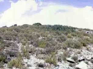 Terrain rustique à vendre à Pt Rincón del Pehuet, imagen 7