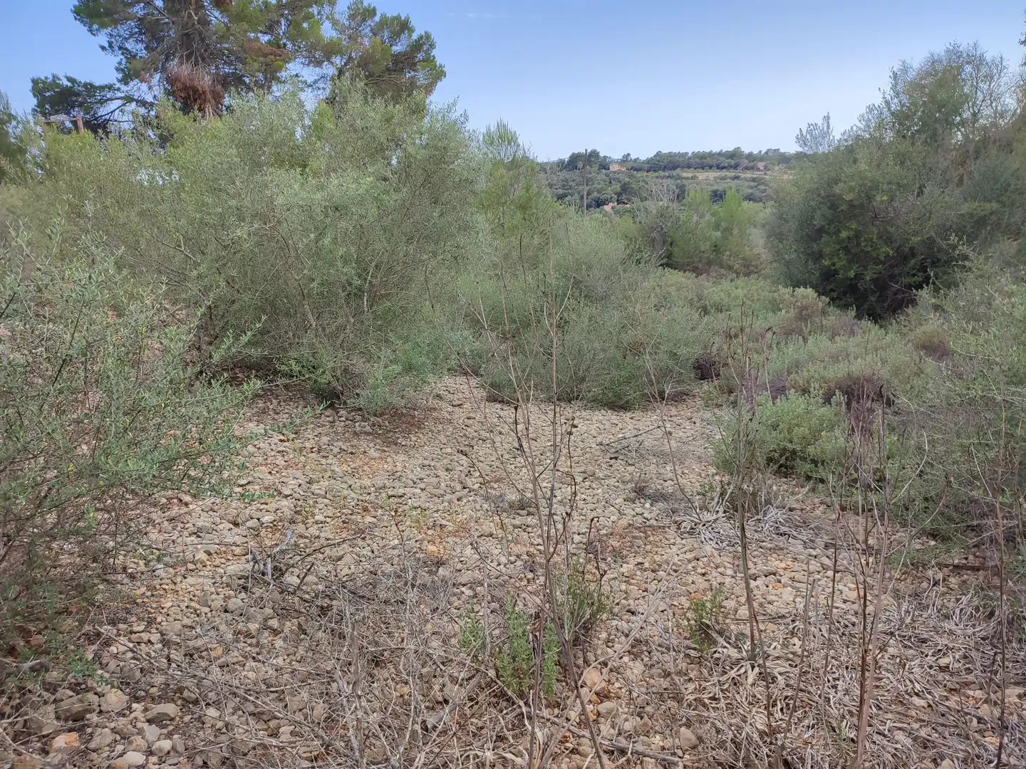 Terrain rustique à vendre à Sant Joan, imagen 3