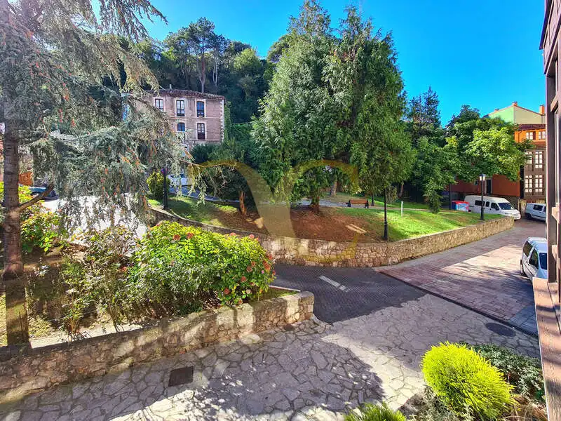 Appartamento con ascensore in vendita a Calle Alfonso Covián, imagen 36