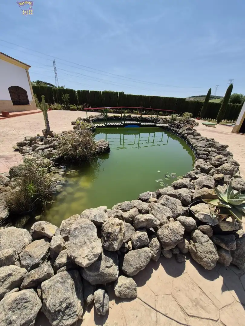 Casa rústica amb jardí en venda a Arcos de la Frontera, imagen 59