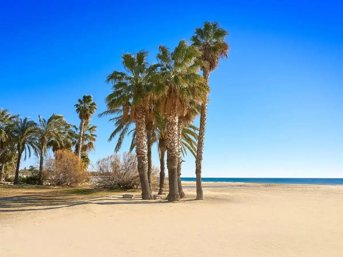 Residential for sale in CIVADERIA 10, imagen 25