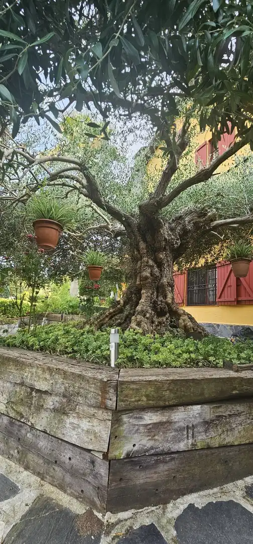 Casa en venda a Calle Moixerno, imagen 18