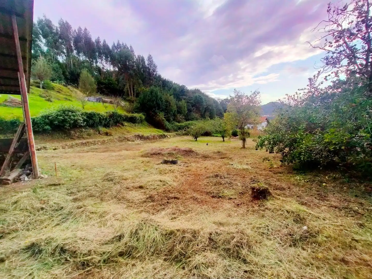 Finca rústica en venta en Pravia con Calefacción, Jardín privado y Trastero