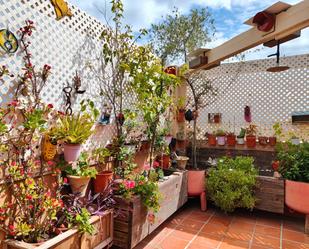 Dúplex en venda a San Pedro de Alcántara pueblo