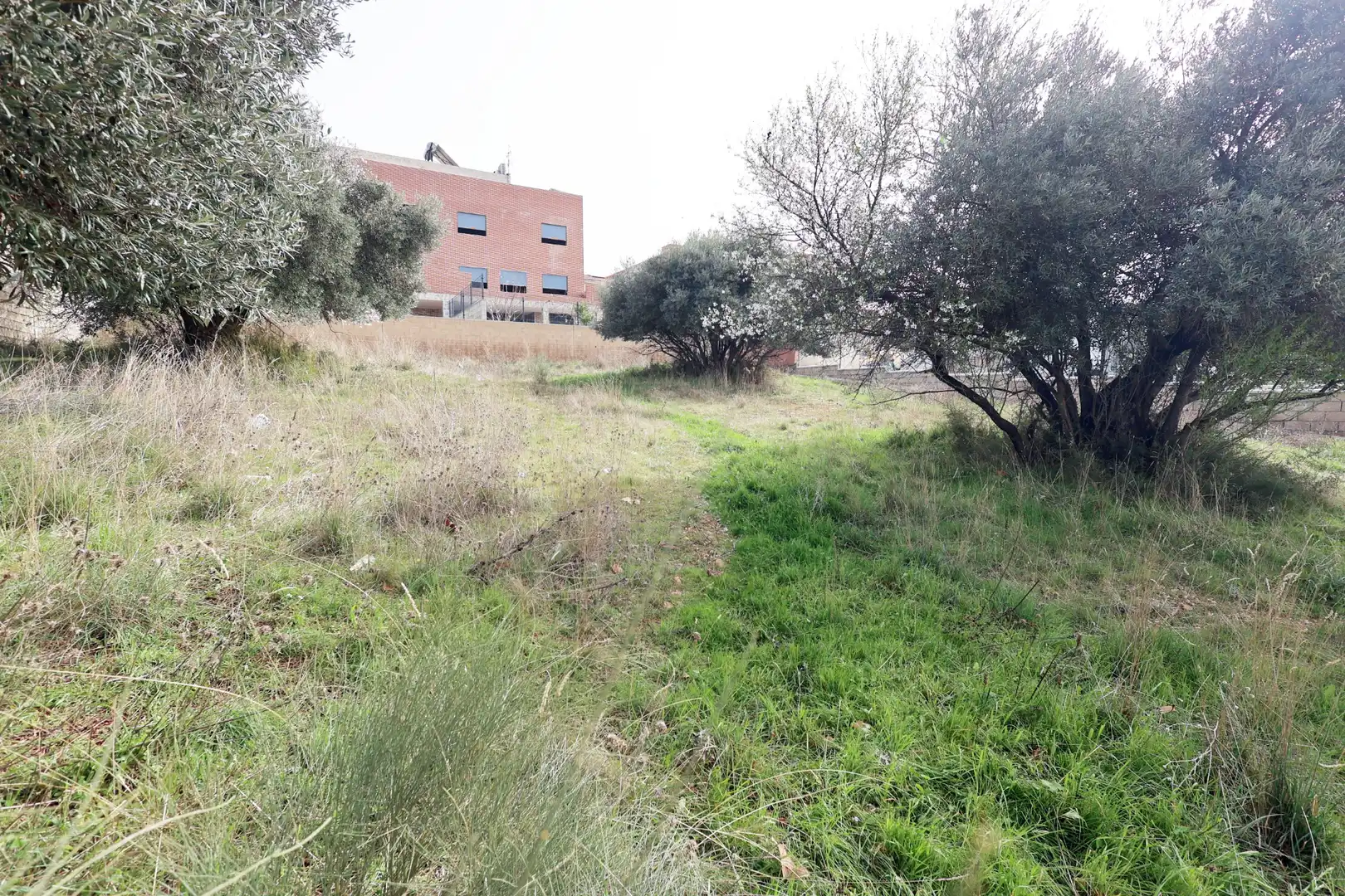 Land for sale in Mejorada del Campo