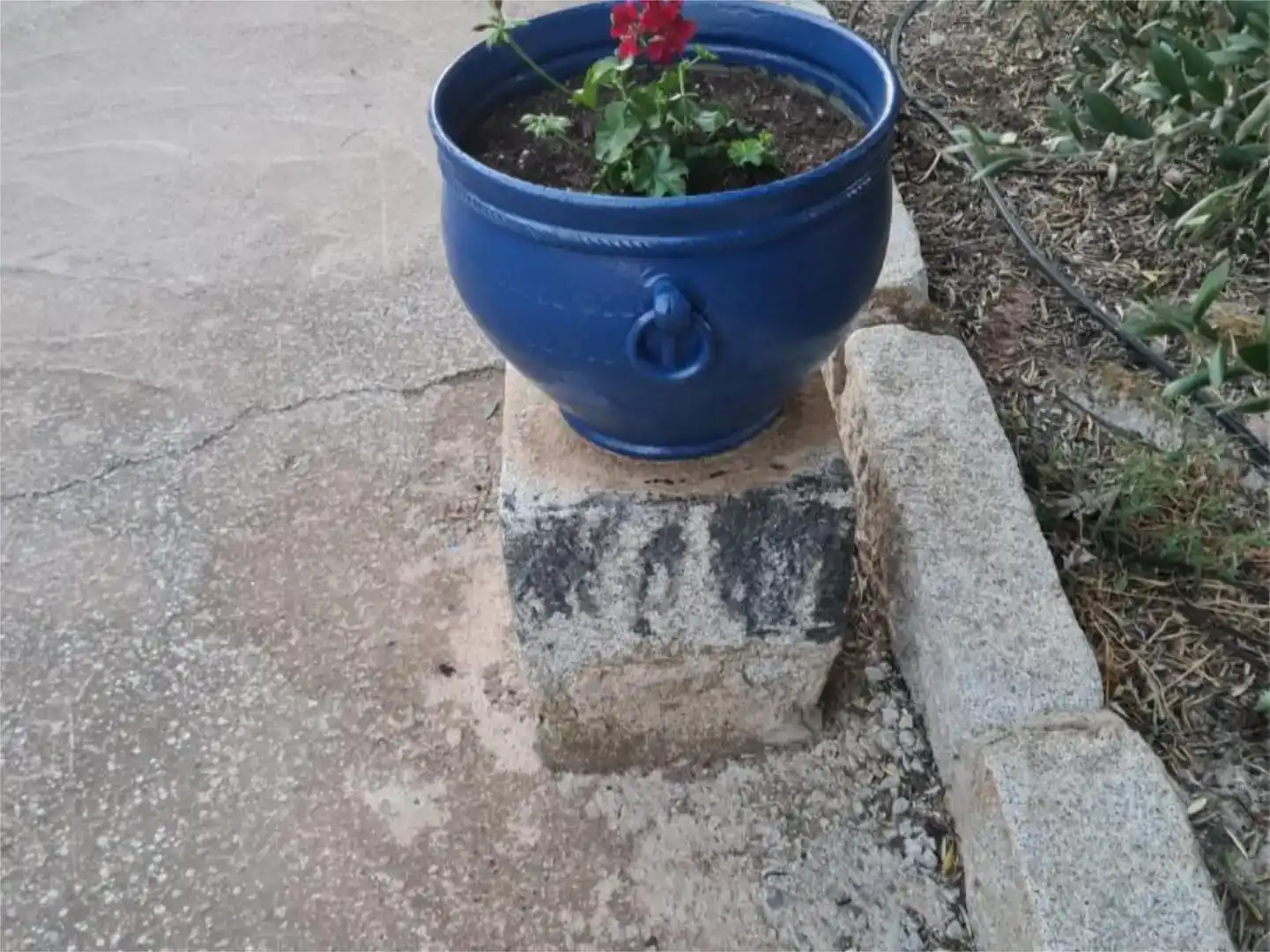Jardí de Finca rústica en venda en Peñarroya-Pueblonuevo, Córdoba