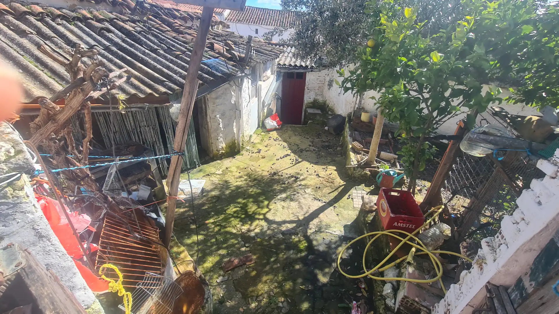 Jardín de Casa o chalet en venta en Azuaga