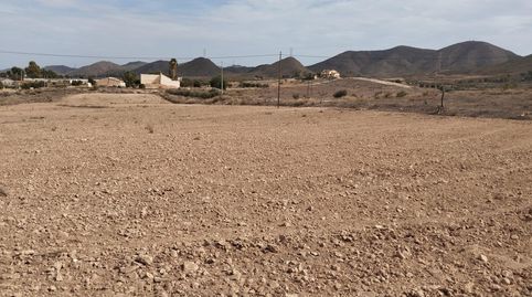 Parcela con licencia y proyecto en Lorca  Zona Purias, imatge 4