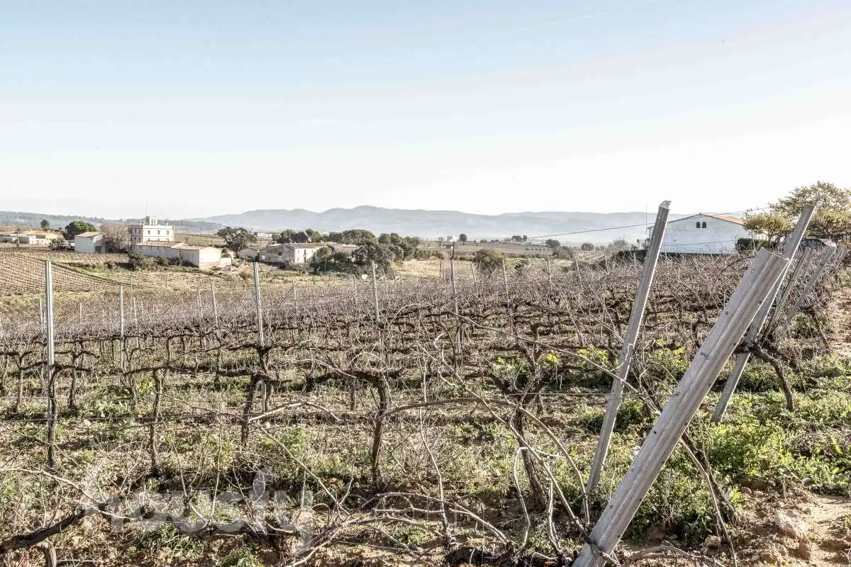Casa o chalet en venta en Font-rubí con Calefacción, Jardín privado y Terraza