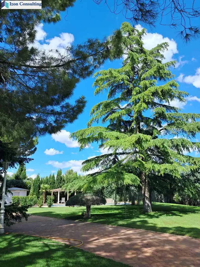 Chalet con terraza en venta en Pedanías - Extrarradio, imagen 41