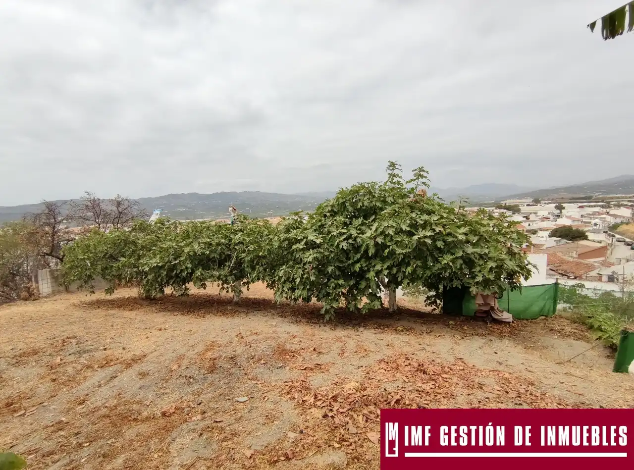 Finca rústica en venta en Vélez-Málaga con Jardín privado, Terraza y Trastero