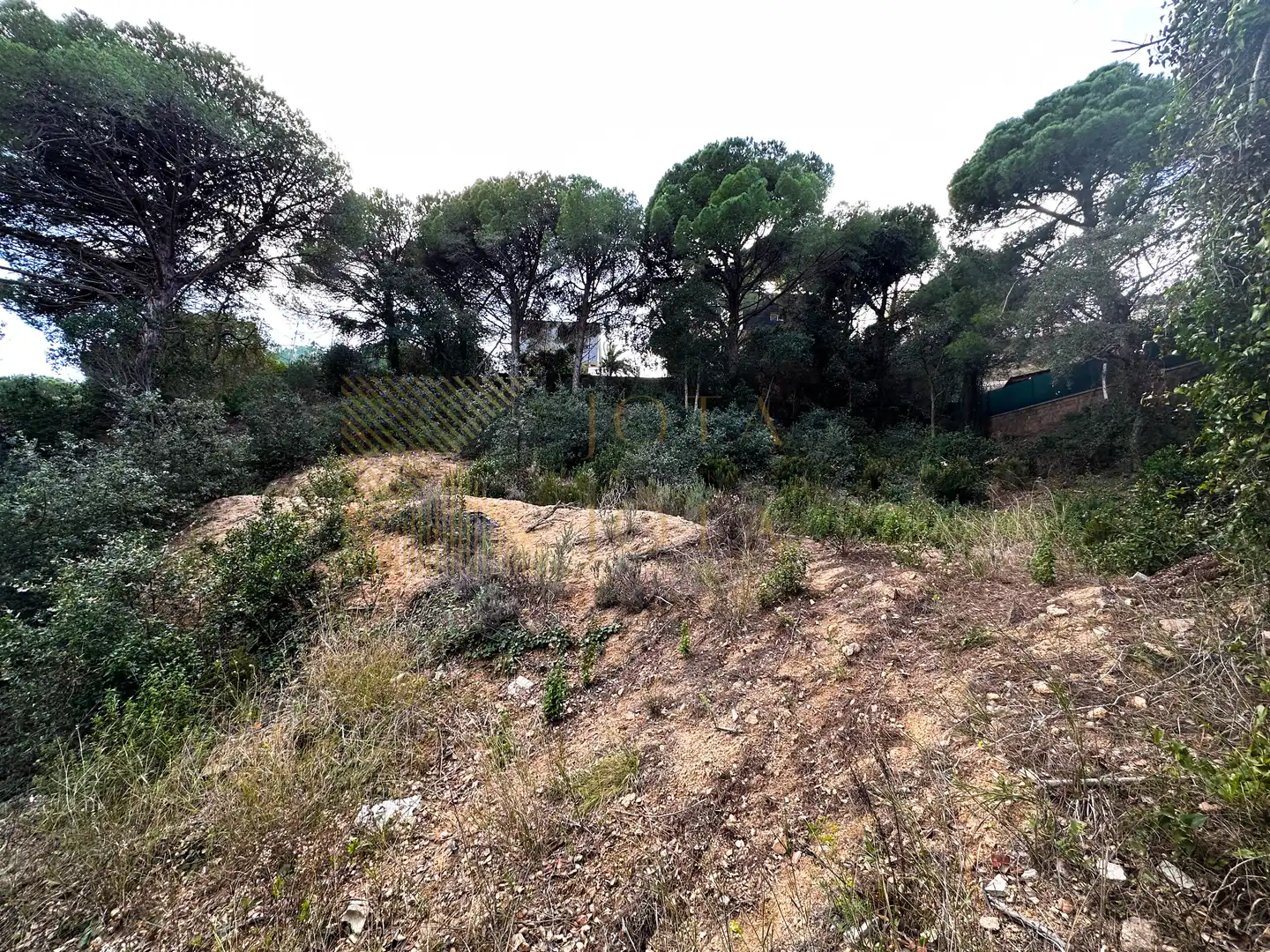 Wohnbaugrundstück zum Verkauf in Carrer de les Alzines 30, imagen 4
