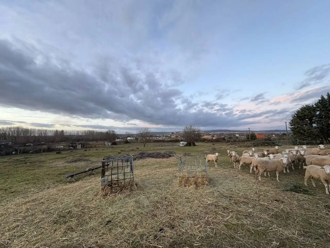 Terreno residenziale in vendita a Poligono 17, imagen 4