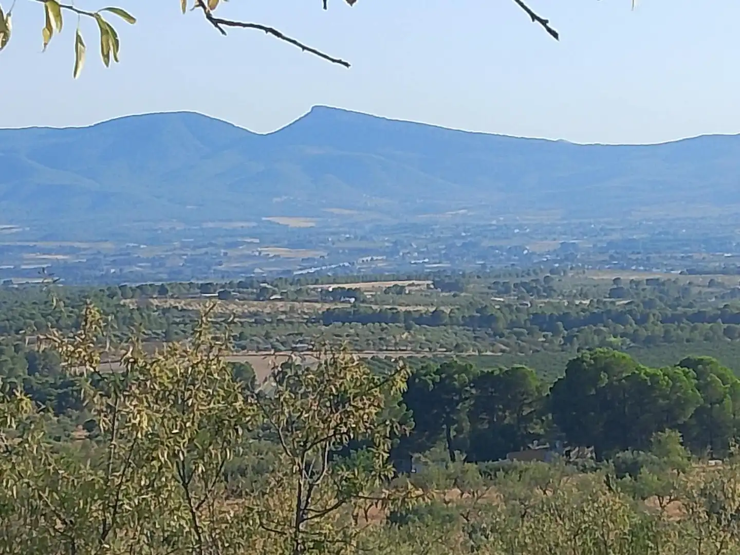 Terreny rústic en venda a N/A, imagen 62