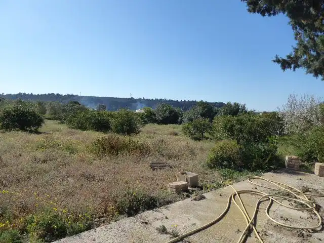 Villa con terrazza in vendita a Xerta, imagen 33