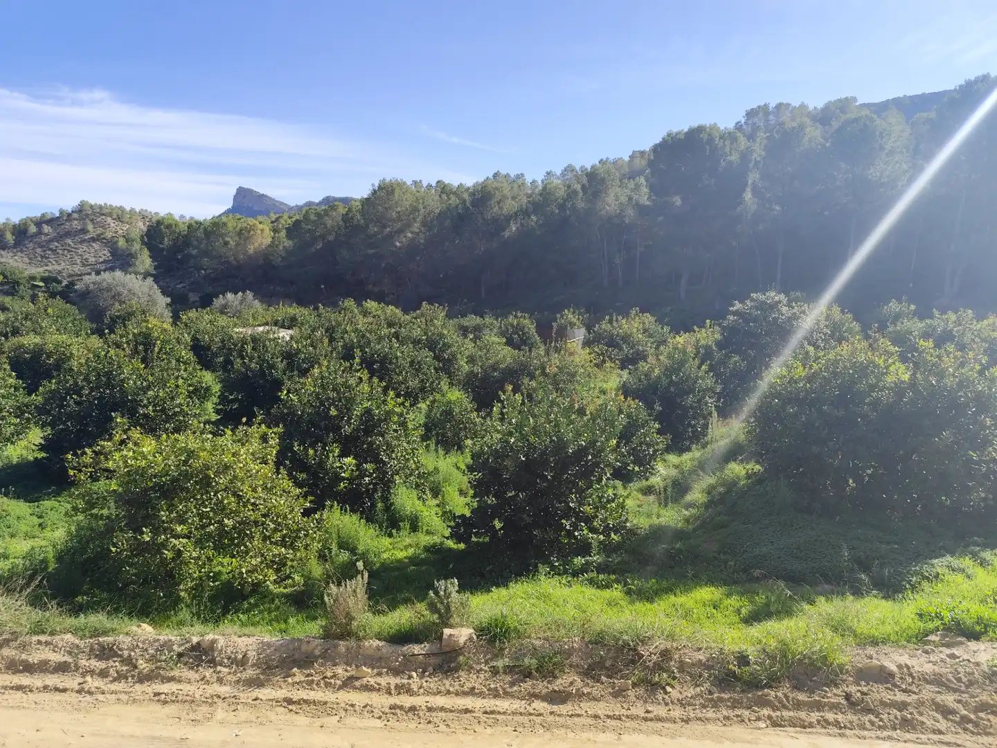 Terreny en venda en Murcia
