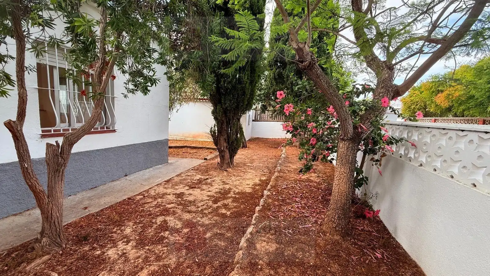Jardí de Casa o xalet en venda en Alcanar amb Terrassa i Traster