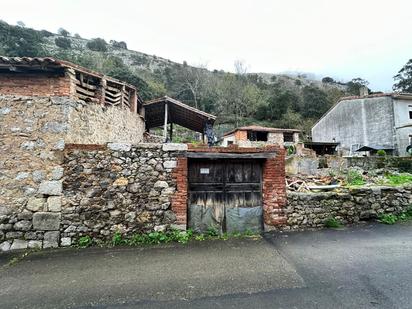 Vista exterior de Finca rústica en venda en Llanes