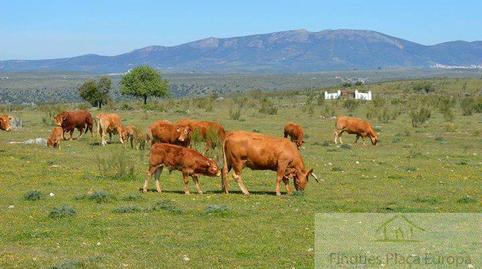 Foto 5 de Residencial en venta en Montejícar, Granada