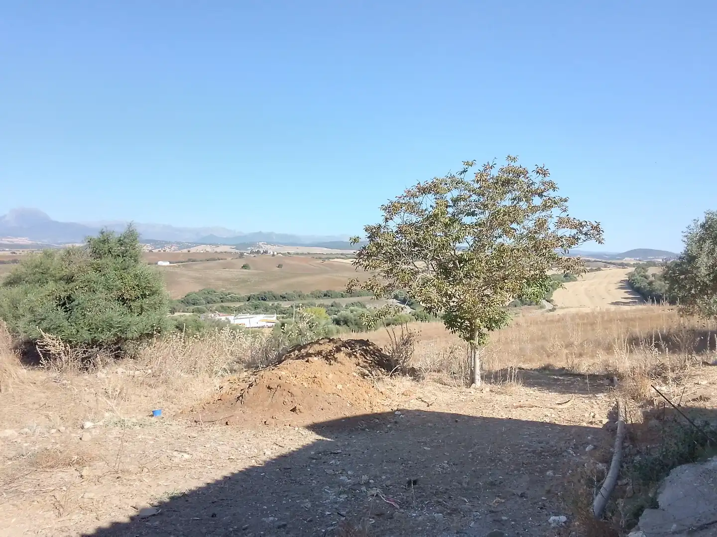 Terreni e lotti in vendita a Arcos de la Frontera, imagen 10