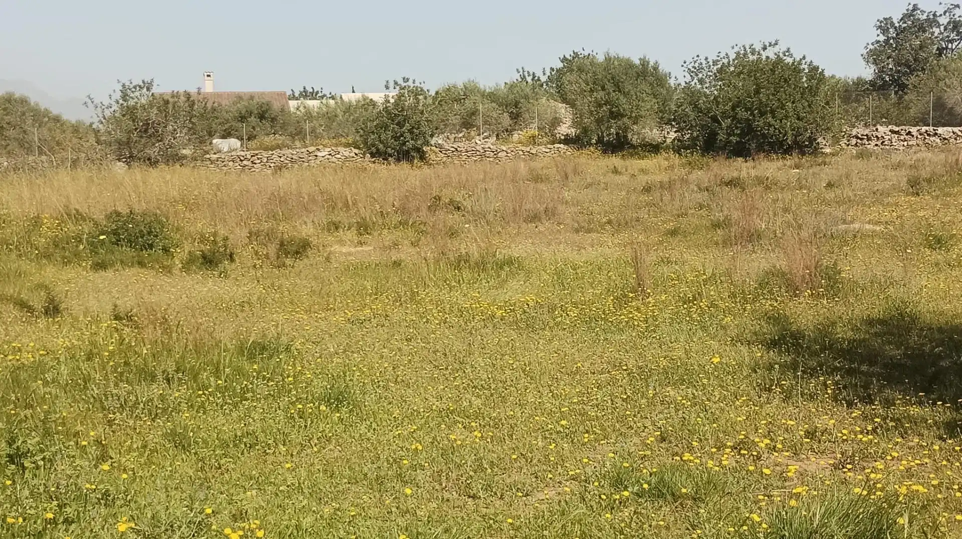 Residential for sale in Amposta