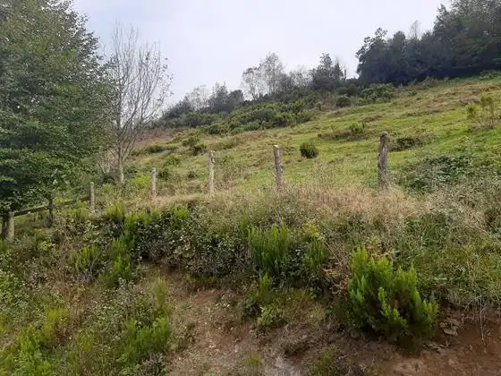 Finca rústica en venda en Aller amb Moblat