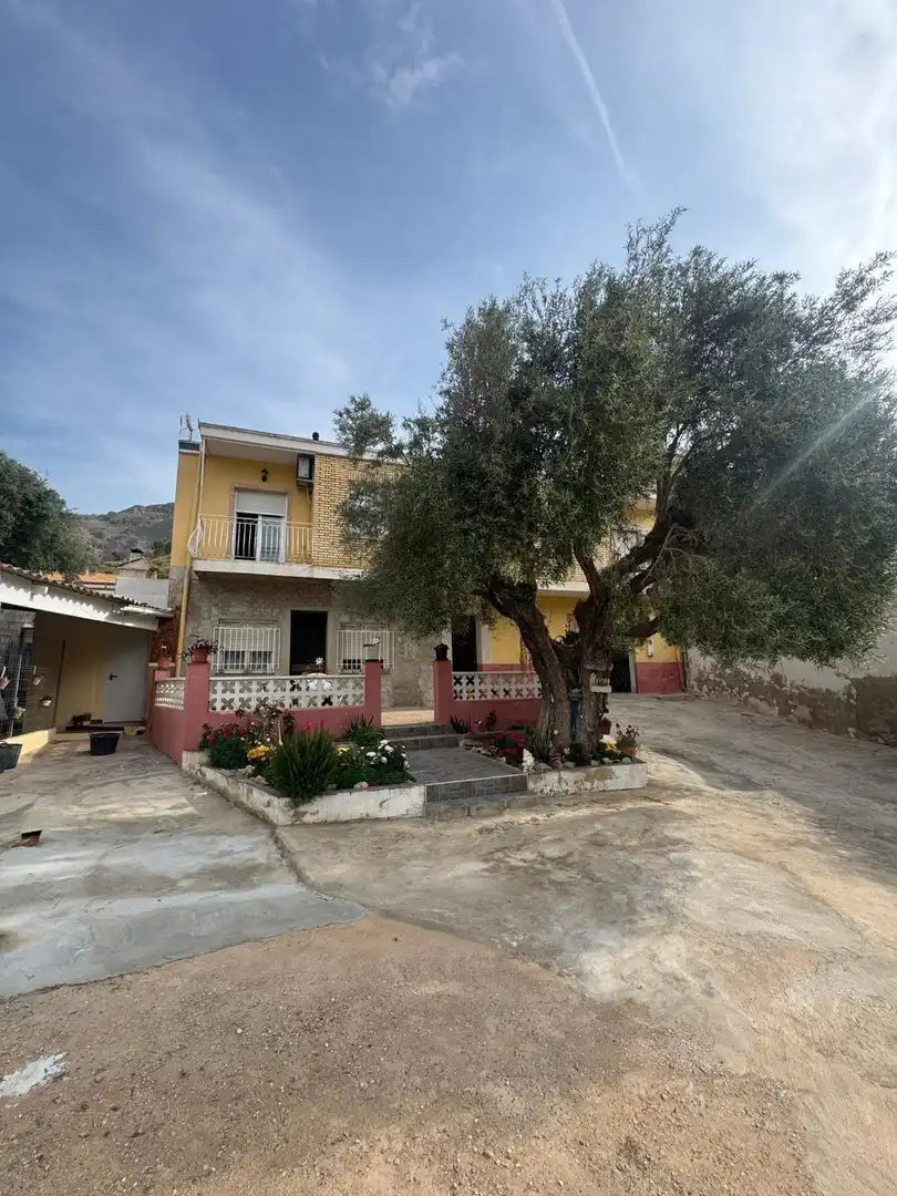 Vista exterior de Finca rústica en venta en Orihuela con Jardín privado y Terraza