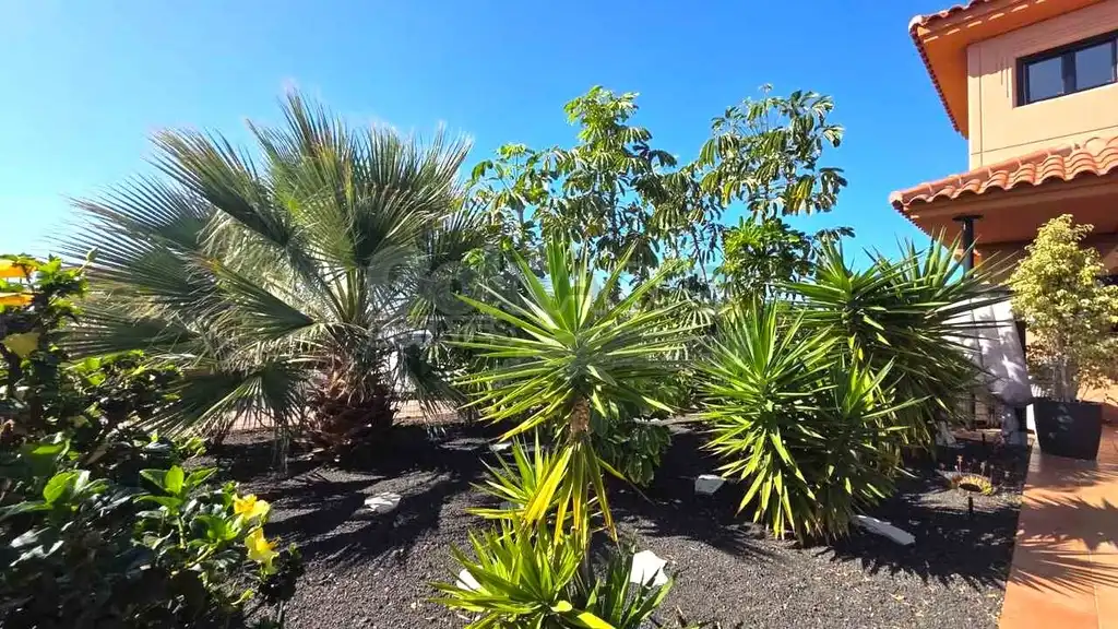 Jardí de Casa o xalet en venda en La Oliva