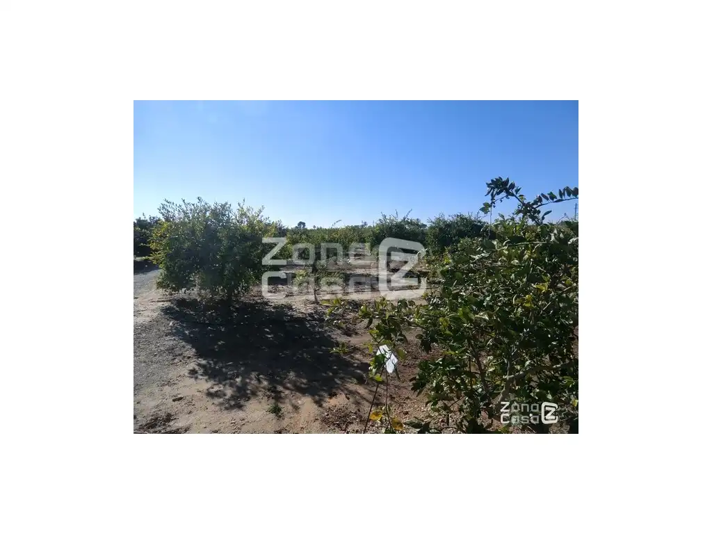 Country house for sale in Algemesí, imagen 4