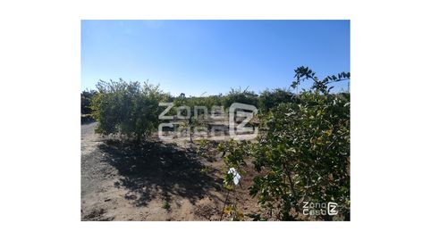 FINCA RUSTICA, imagen 4