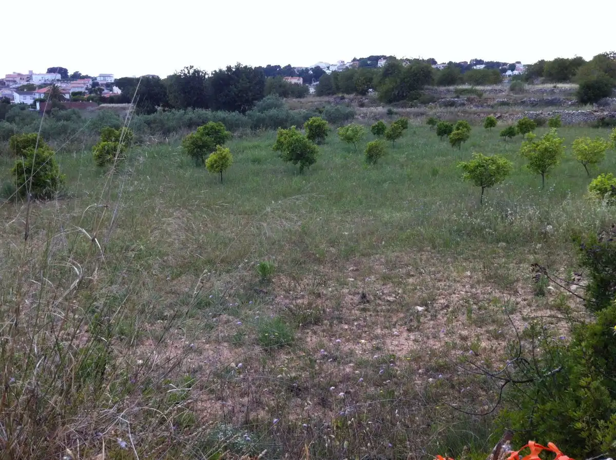 Terrenys i solars en venda a CASTELL DE MONTORNES 1, imagen 10