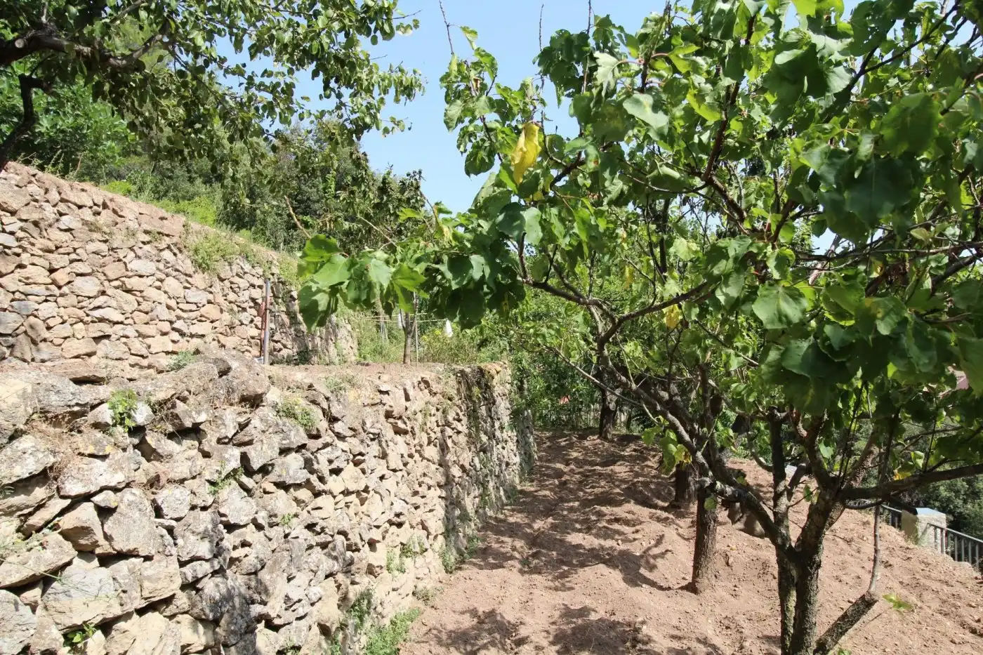 Finca rústica en venda a Sant Llorenç Savall