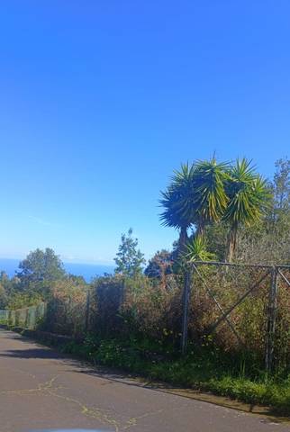 Terreno en Venta en Calle al Sur-las Rosas, 56 en Garachico