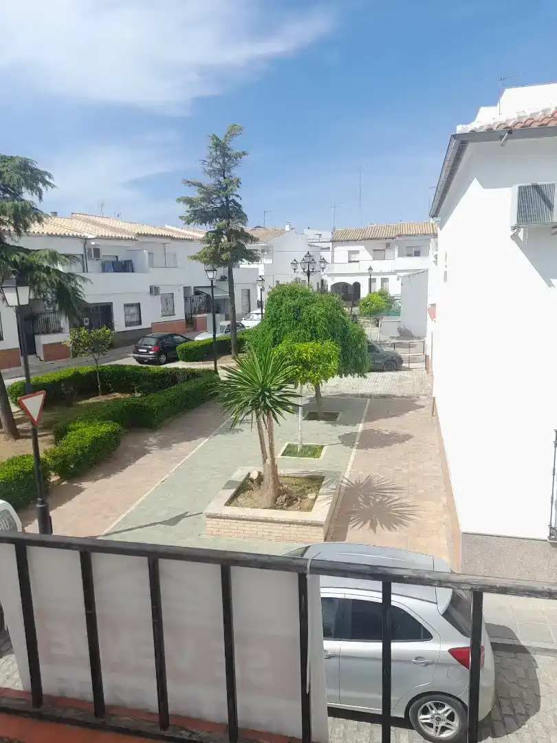 Exterior view of Ground floor for sale in Marmolejo