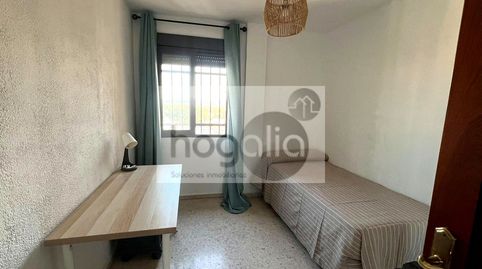 Photo 5 of Flat for rent in Triana Oeste, Sevilla Capital