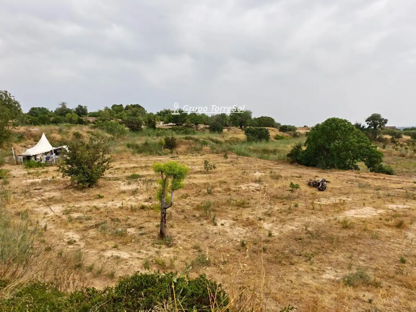 Villa in vendita a Freixa, imagen 31