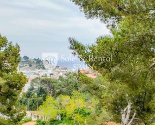 Flat to rent in Tossa de Mar