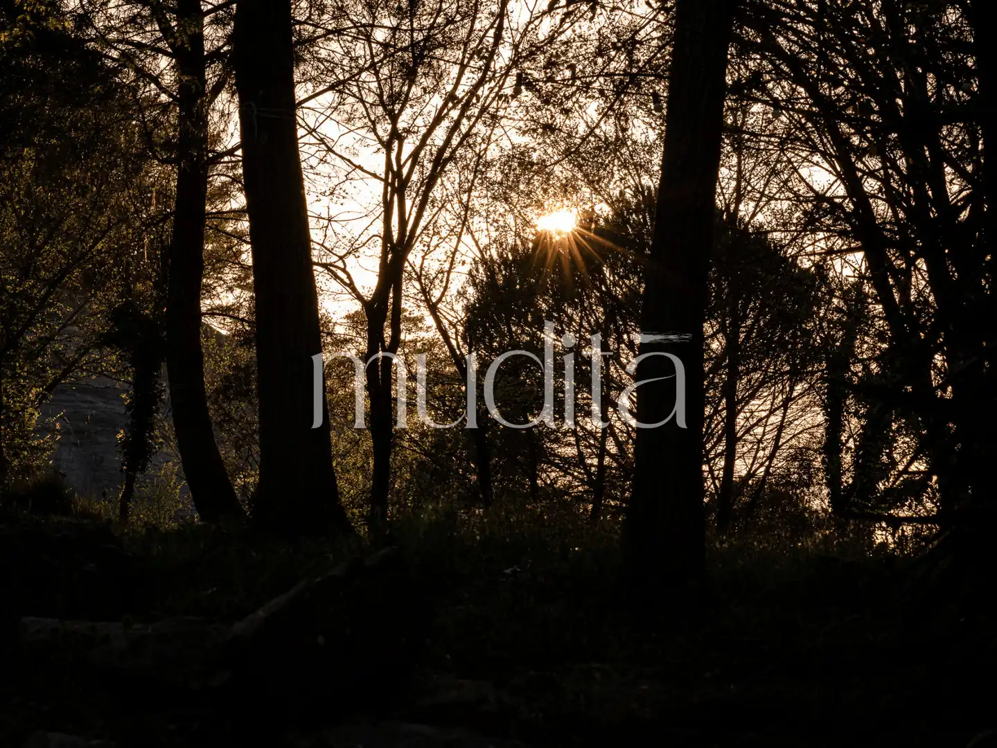 Jardí de Finca rústica en venda en Tavertet amb Calefacció, Jardí privat i Terrassa