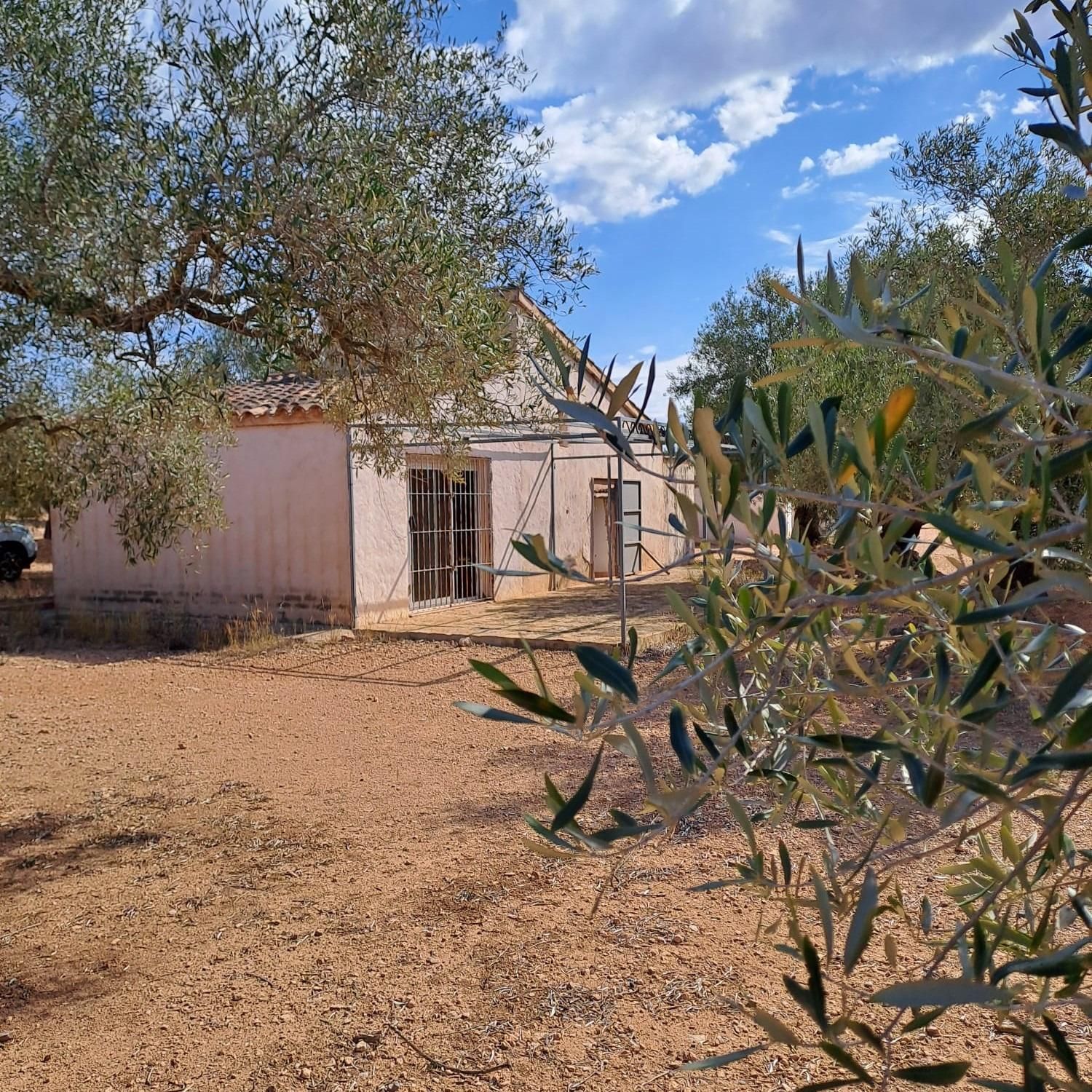 Exterior view of Country house for sale in L'Aldea  with Private garden and Storage room