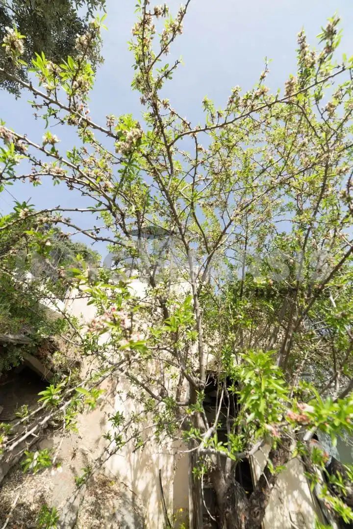 Casa o xalet en venda en Abrucena amb Jardí privat, Terrassa i Moblat