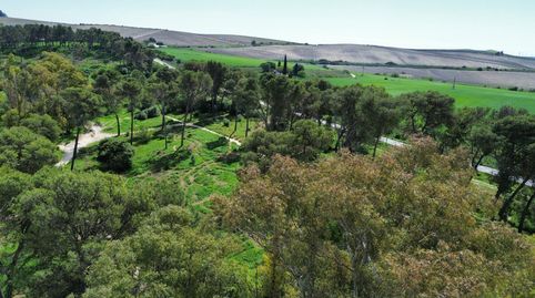 Photo 5 of Single-family semi-detached for sale in Calle Blas Infante, 27, El Rocío - La Milagrosa, Jerez de la Frontera