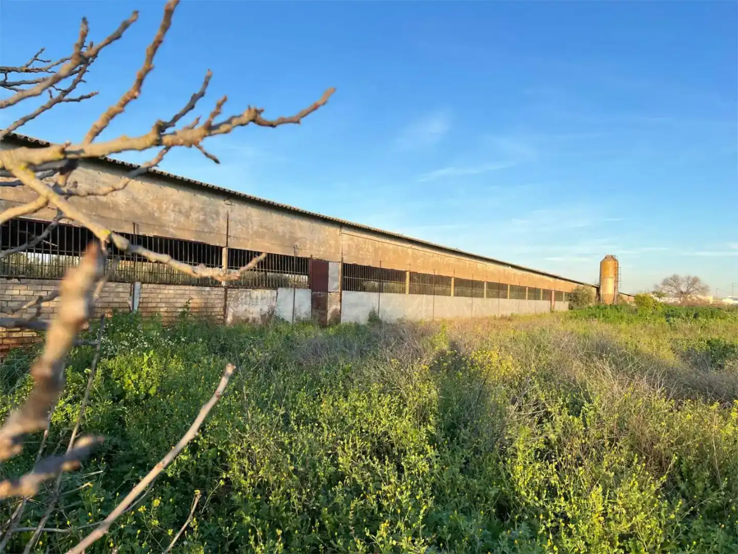 Vista exterior de Terreno en venta en Benacazón