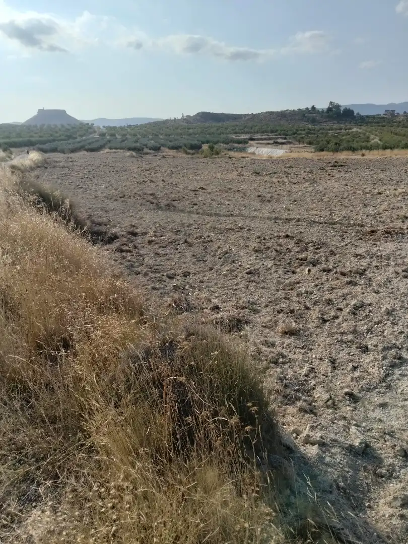 Lands and plots for sale in N/A