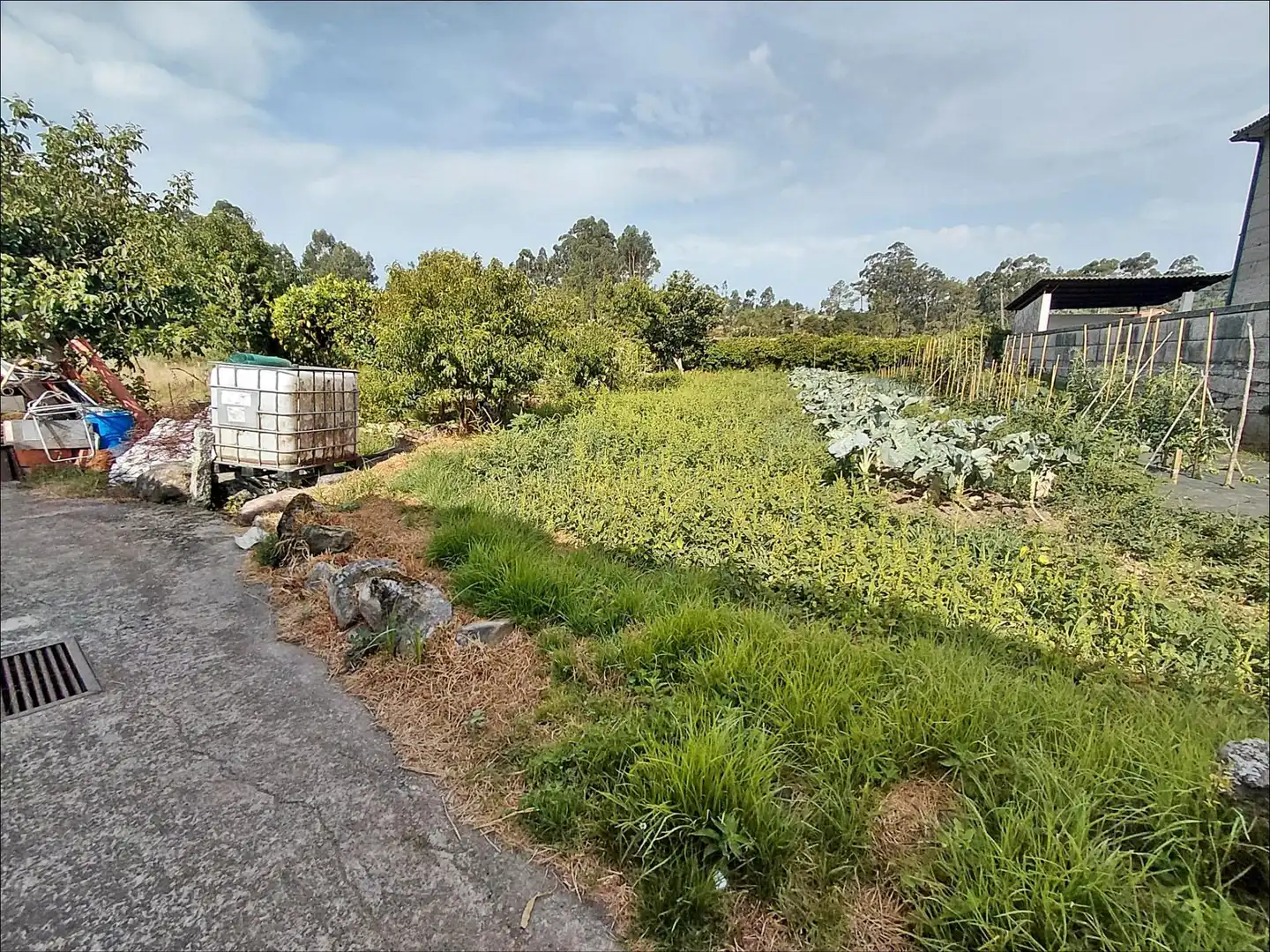 Lands and plots for sale in Cea, imagen 37