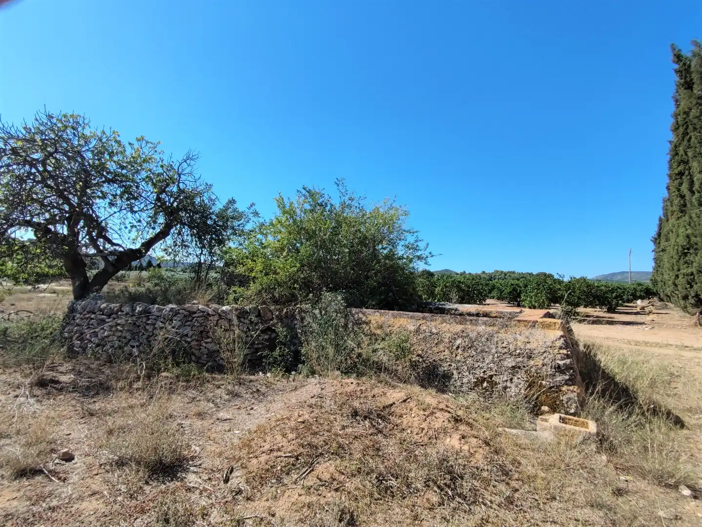 Rural land for sale in Carretera d'Amposta, imagen 20
