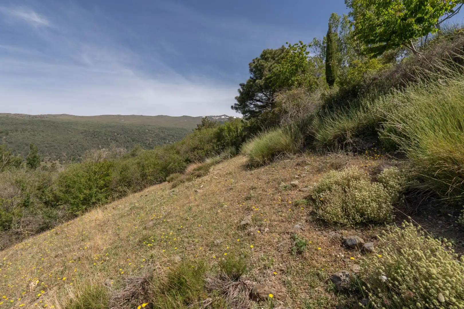 Terreno en venta en Soportújar