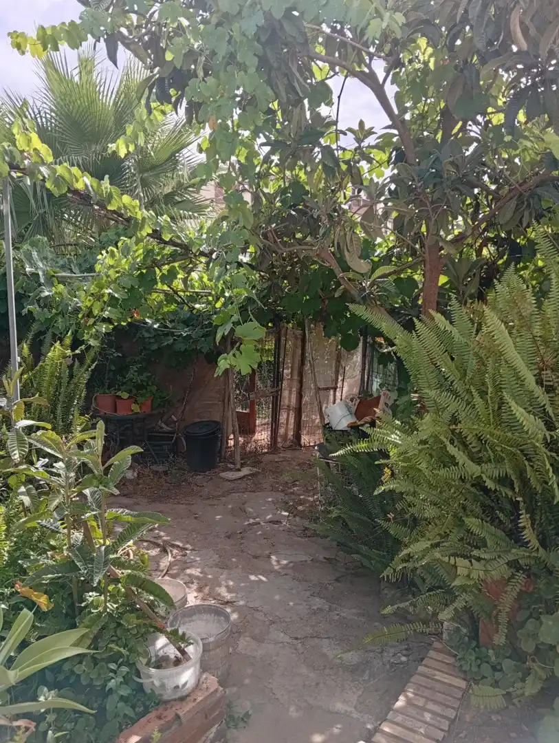 Villa avec jardin à vendre à Ayamonte ciudad, imagen 28