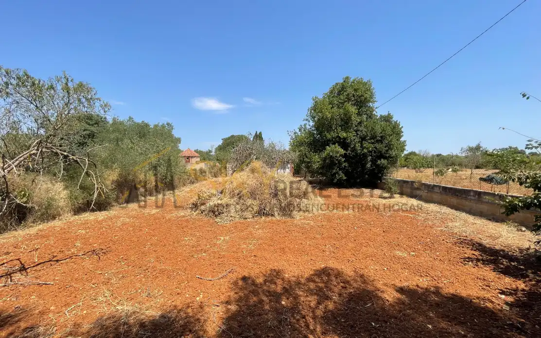 Terrain rustique à vendre à N/A, imagen 9